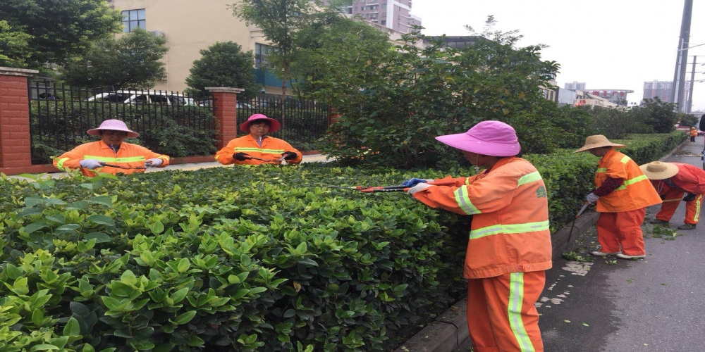 新站區(qū)道路清掃保潔、綠化管養(yǎng)項(xiàng)目